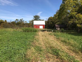 Nice southern Clinton County potential building lot or sportsman's paradise located close to Lebanon and Antioch south of Frankfort, Indiana.  The lot has been preliminarily scored by Clinton County Area Plan with a passing score for home site pending DNR flood plain evaluation.  There are additional wooded acres available that are on the north side and adjoin this property.  There is a recent timber opinion available on projected value.  Contact sales manager for information on additional acreage and timber value. - 25 Acre Wooded & Pasture Land - Southern Clinton County
